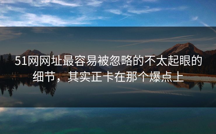 51网网址最容易被忽略的不太起眼的细节，其实正卡在那个爆点上