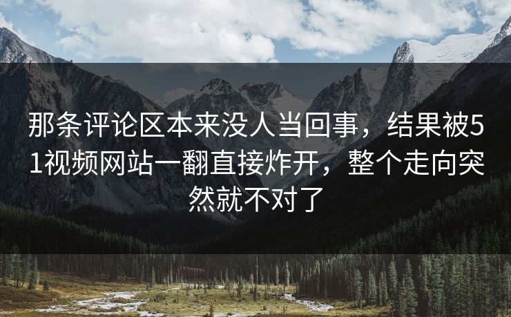 那条评论区本来没人当回事，结果被51视频网站一翻直接炸开，整个走向突然就不对了