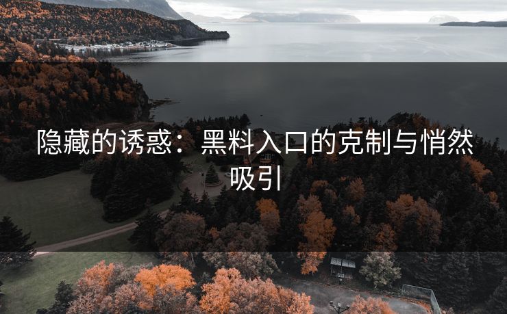 隐藏的诱惑：黑料入口的克制与悄然吸引