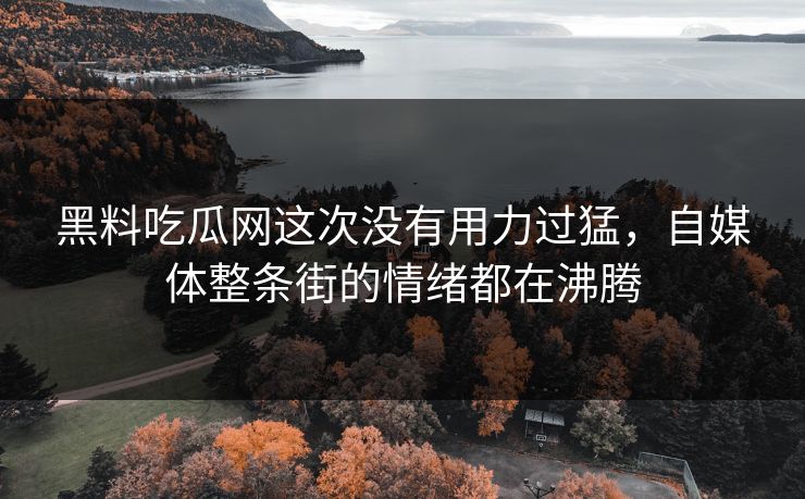 黑料吃瓜网这次没有用力过猛，自媒体整条街的情绪都在沸腾