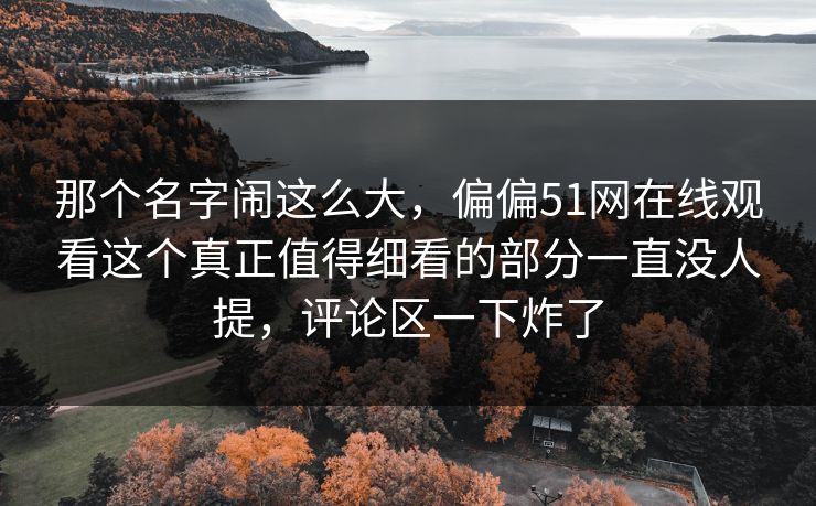 那个名字闹这么大，偏偏51网在线观看这个真正值得细看的部分一直没人提，评论区一下炸了