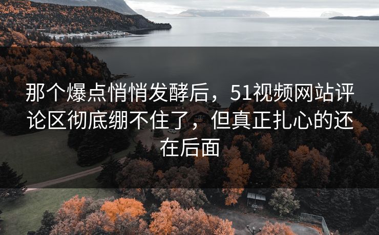 那个爆点悄悄发酵后，51视频网站评论区彻底绷不住了，但真正扎心的还在后面
