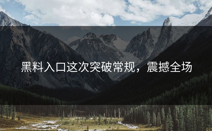 黑料入口这次突破常规，震撼全场